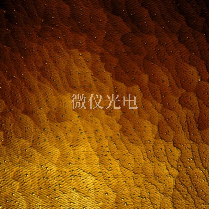 AFM原子力显微镜：五大新兴领域需求激增解析